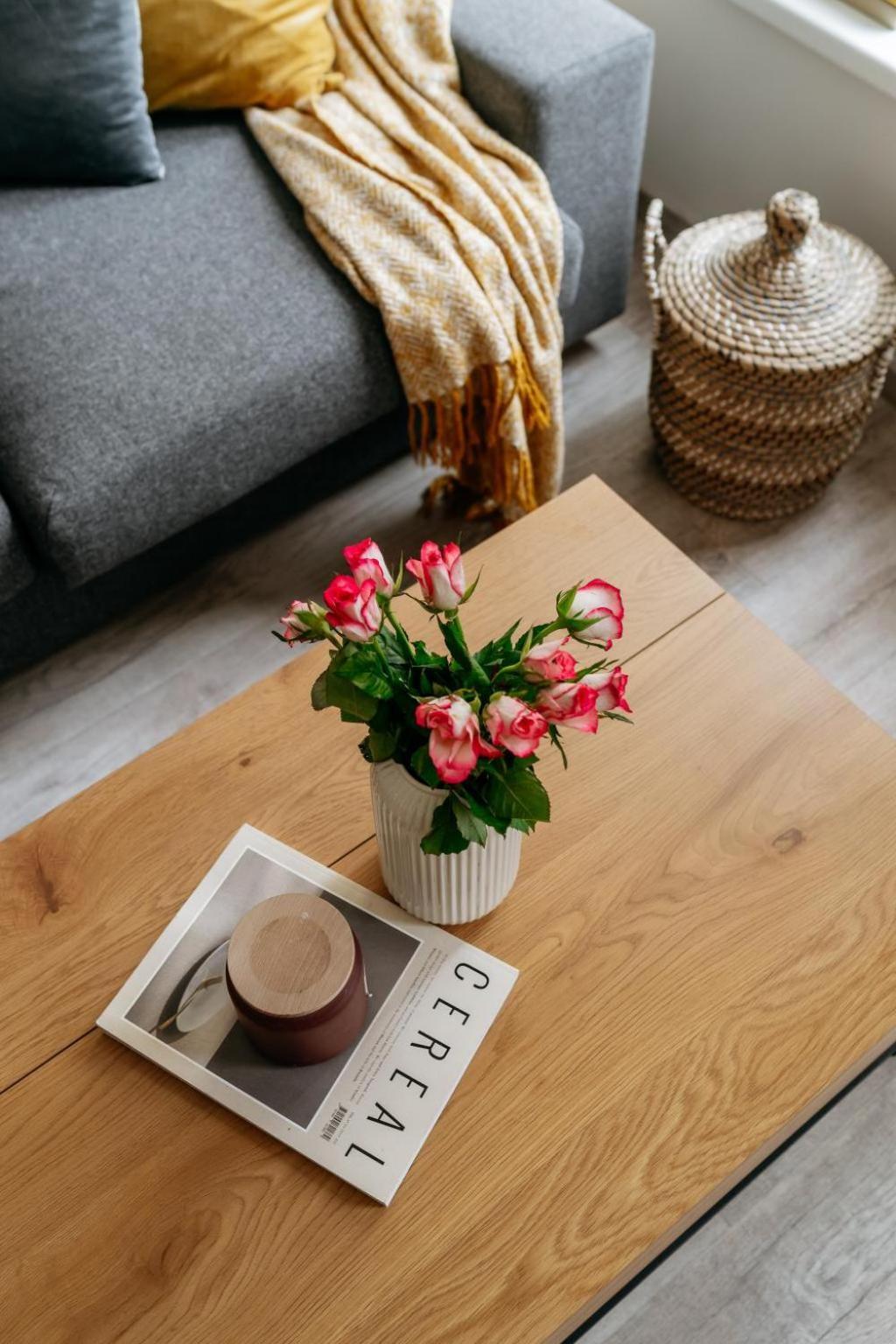 Lejlighed Three Bedroom Aparment With Terrace By Days *